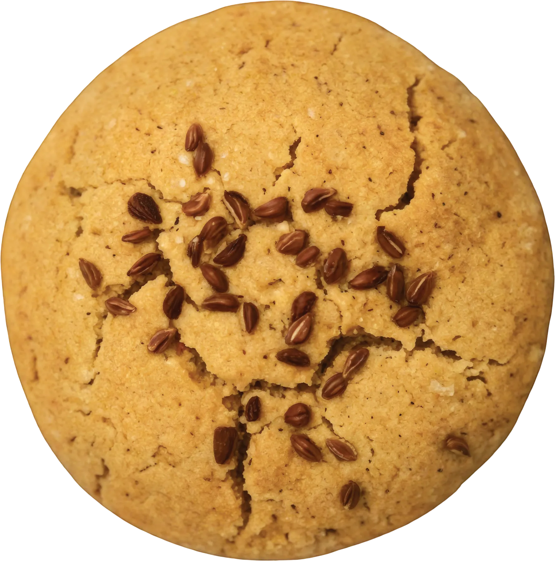 A Wholeway bajra cookie, cracked on top and scattered with ajwain seeds